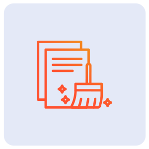 Data Cleansing and Enrichment